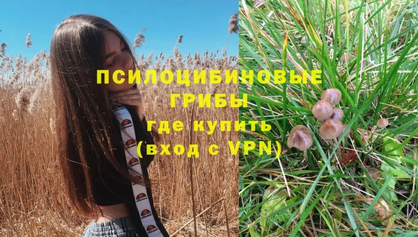 марки lsd Вязьма