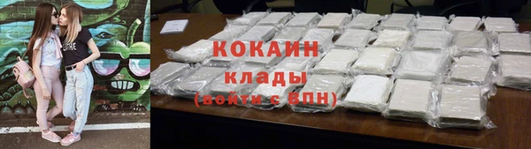 шишки Волоколамск