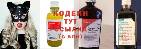 шишки Волоколамск