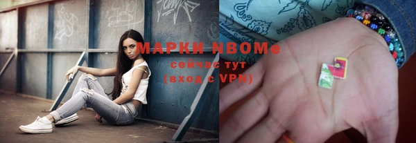 индика Вязники