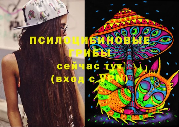 индика Вязники